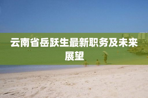 云南省岳躍生最新職務(wù)及未來展望