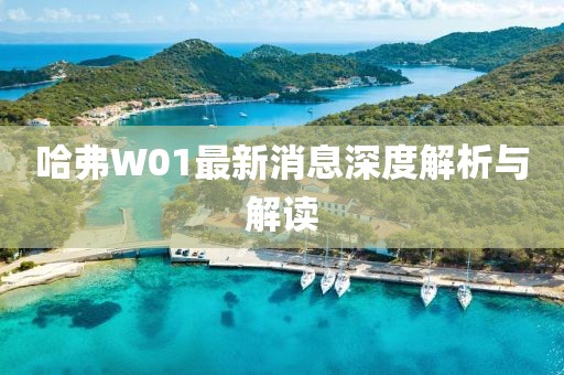 哈弗W01最新消息深度解析與解讀