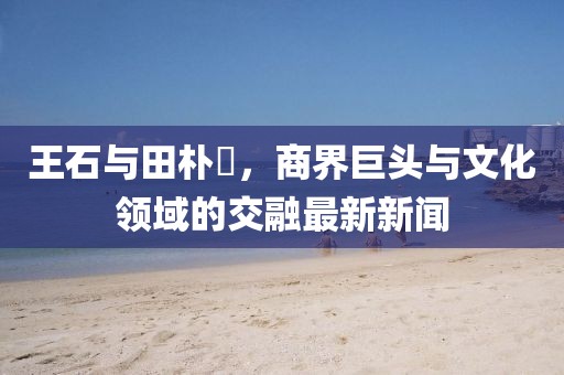 王石與田樸琤，商界巨頭與文化領(lǐng)域的交融最新新聞