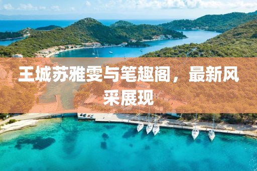 王城蘇雅雯與筆趣閣，最新風(fēng)采展現(xiàn)