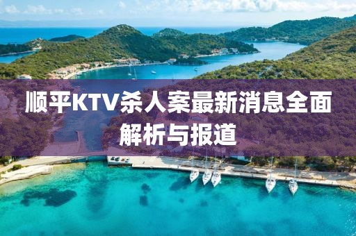 順平KTV殺人案最新消息全面解析與報道