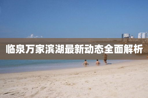 臨泉萬家濱湖最新動態(tài)全面解析