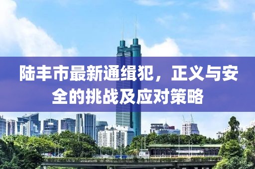陸豐市最新通緝犯，正義與安全的挑戰(zhàn)及應(yīng)對策略