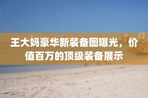 王大媽豪華新裝備圖曝光，價值百萬的頂級裝備展示