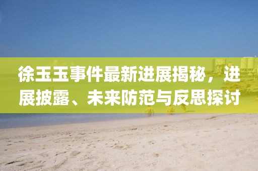 徐玉玉事件最新進(jìn)展揭秘，進(jìn)展披露、未來(lái)防范與反思探討