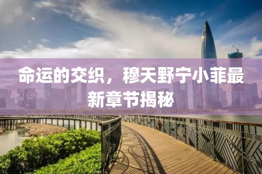 命運(yùn)的交織，穆天野寧小菲最新章節(jié)揭秘
