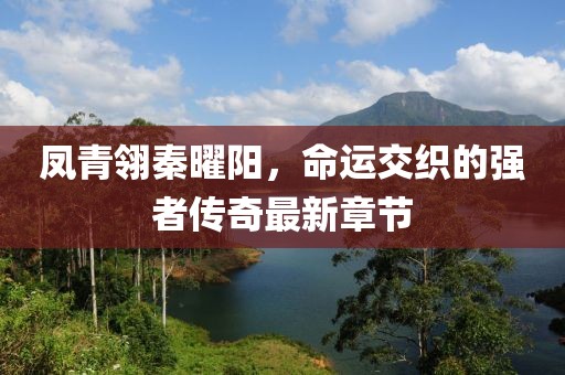 鳳青翎秦曜陽(yáng)，命運(yùn)交織的強(qiáng)者傳奇最新章節(jié)