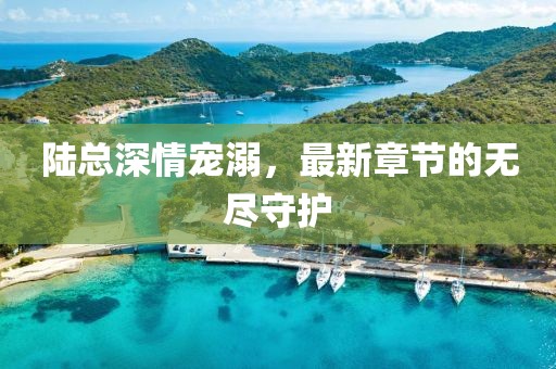 陸總深情寵溺，最新章節(jié)的無盡守護