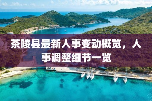 茶陵縣最新人事變動(dòng)概覽，人事調(diào)整細(xì)節(jié)一覽