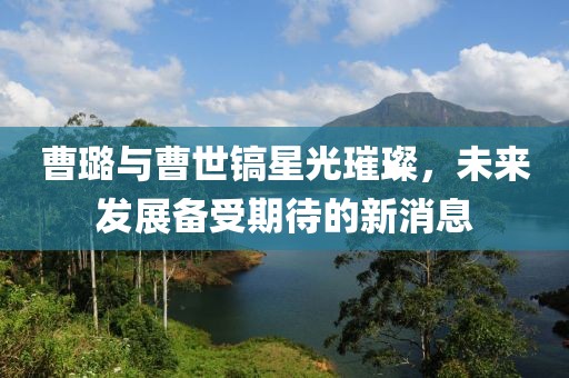 曹璐與曹世鎬星光璀璨，未來發(fā)展備受期待的新消息