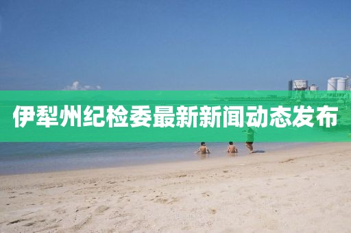 伊犁州紀(jì)檢委最新新聞動(dòng)態(tài)發(fā)布