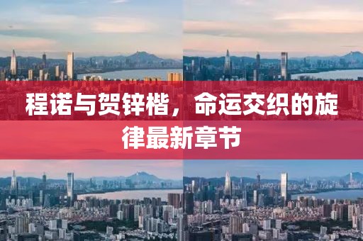 程諾與賀鋅楷，命運(yùn)交織的旋律最新章節(jié)