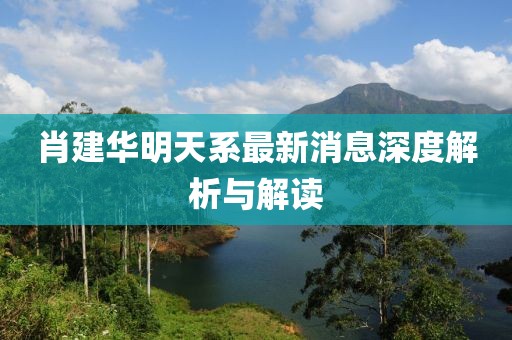 肖建華明天系最新消息深度解析與解讀
