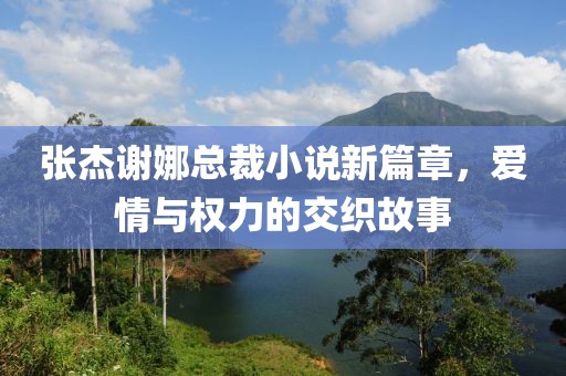 張杰謝娜總裁小說新篇章，愛情與權(quán)力的交織故事