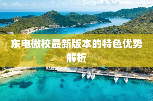 東電微校最新版本的特色優(yōu)勢解析