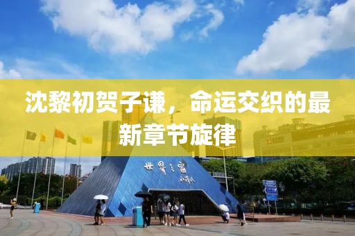 沈黎初賀子謙，命運(yùn)交織的最新章節(jié)旋律