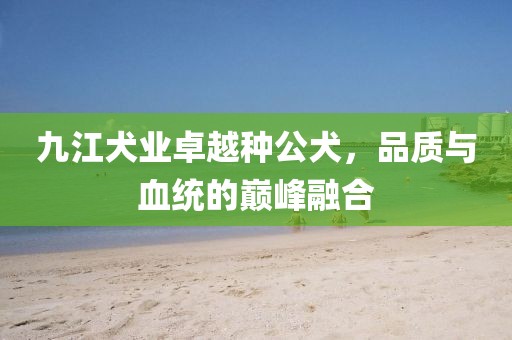 九江犬業(yè)卓越種公犬，品質(zhì)與血統(tǒng)的巔峰融合
