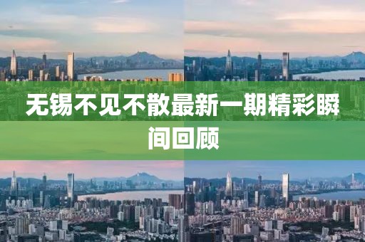 無(wú)錫不見(jiàn)不散最新一期精彩瞬間回顧