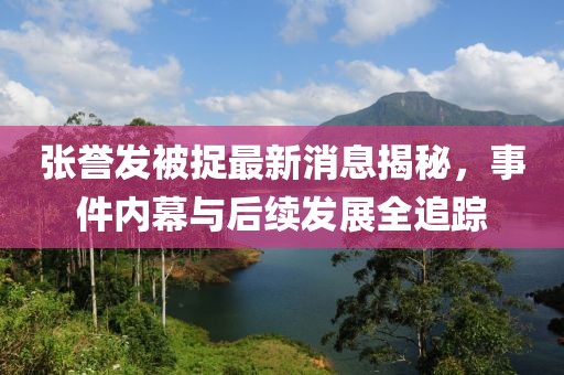 張譽發(fā)被捉最新消息揭秘，事件內幕與后續(xù)發(fā)展全追蹤
