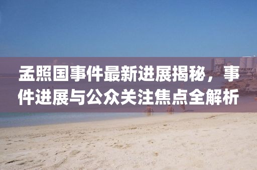 孟照國(guó)事件最新進(jìn)展揭秘，事件進(jìn)展與公眾關(guān)注焦點(diǎn)全解析