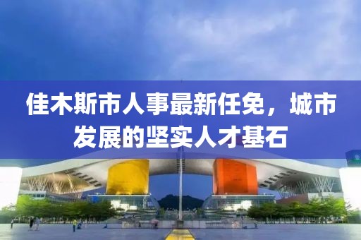 佳木斯市人事最新任免，城市發(fā)展的堅實人才基石