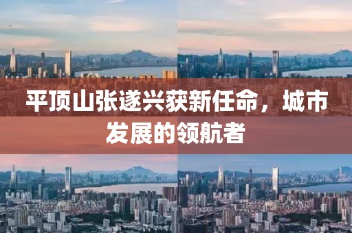 平頂山張遂興獲新任命，城市發(fā)展的領(lǐng)航者