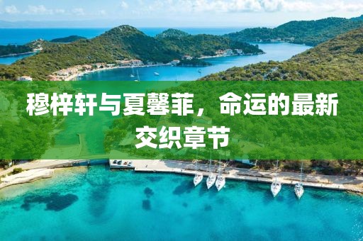 穆梓軒與夏馨菲，命運(yùn)的最新交織章節(jié)