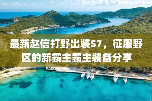 最新趙信打野出裝S7，征服野區(qū)的新霸主霸主裝備分享