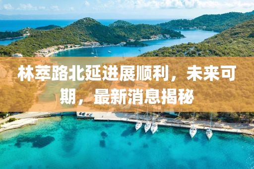 林萃路北延進(jìn)展順利，未來可期，最新消息揭秘
