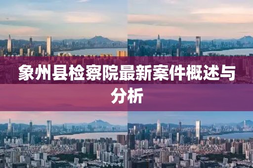 象州縣檢察院最新案件概述與分析