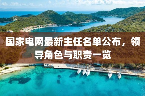 國(guó)家電網(wǎng)最新主任名單公布，領(lǐng)導(dǎo)角色與職責(zé)一覽