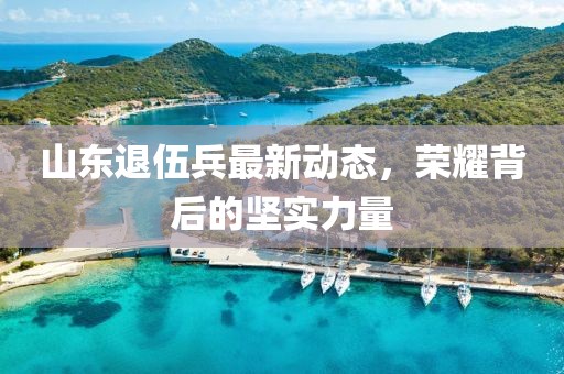 山東退伍兵最新動(dòng)態(tài)，榮耀背后的堅(jiān)實(shí)力量