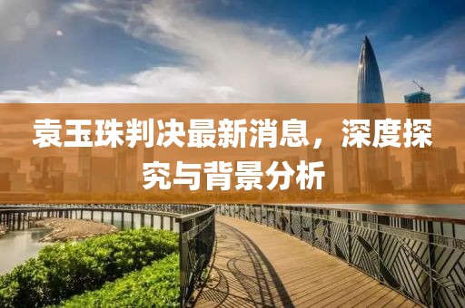 袁玉珠判決最新消息，深度探究與背景分析
