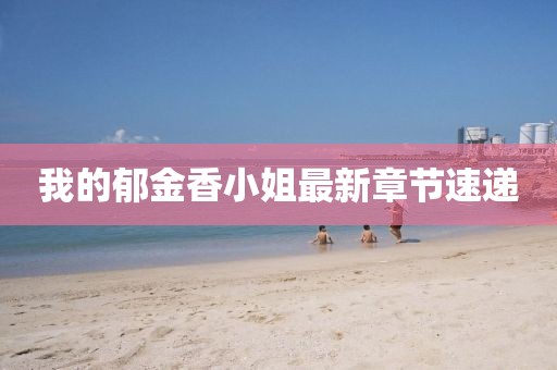 我的郁金香小姐最新章節(jié)速遞