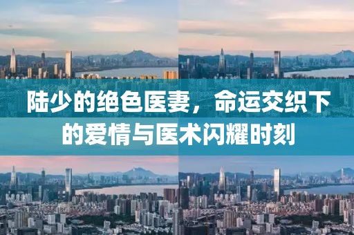 陸少的絕色醫(yī)妻，命運交織下的愛情與醫(yī)術(shù)閃耀時刻
