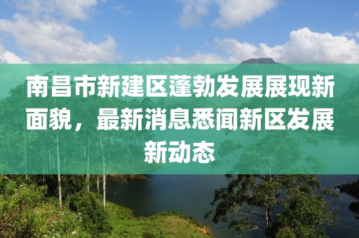 南昌市新建區(qū)蓬勃發(fā)展展現(xiàn)新面貌，最新消息悉聞新區(qū)發(fā)展新動(dòng)態(tài)