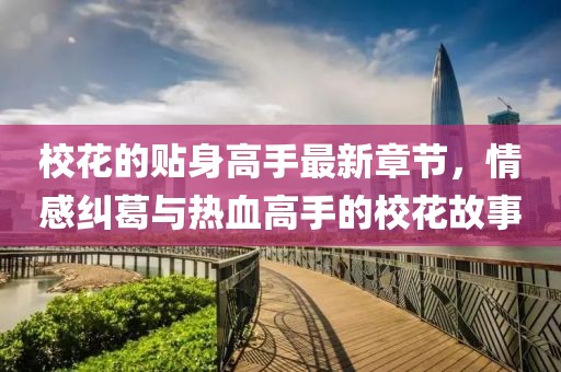 ?；ǖ馁N身高手最新章節(jié)，情感糾葛與熱血高手的?；ü适? class=