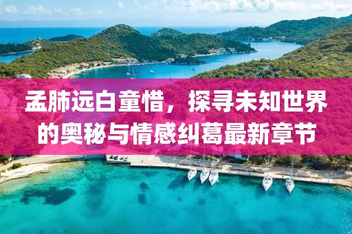 孟肺遠(yuǎn)白童惜，探尋未知世界的奧秘與情感糾葛最新章節(jié)