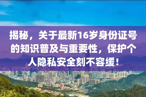揭秘，關(guān)于最新16歲身份證號(hào)的知識(shí)普及與重要性，保護(hù)個(gè)人隱私安全刻不容緩！