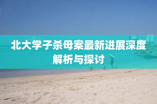 北大學子殺母案最新進展深度解析與探討