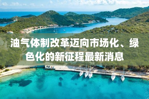 油氣體制改革邁向市場(chǎng)化、綠色化的新征程最新消息