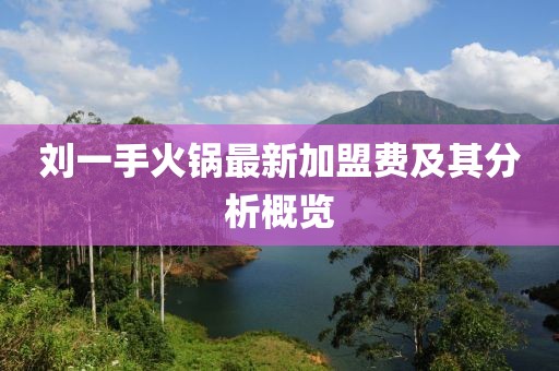 劉一手火鍋?zhàn)钚录用速M(fèi)及其分析概覽