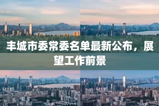 豐城市委常委名單最新公布，展望工作前景