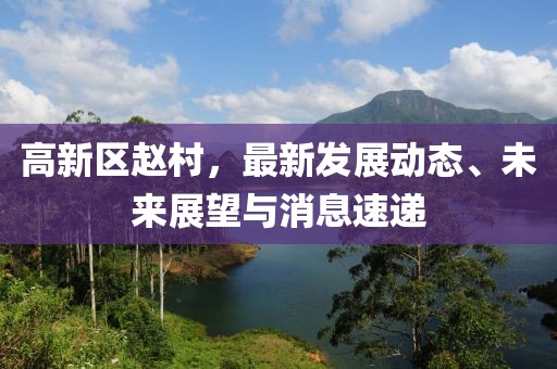 高新區(qū)趙村，最新發(fā)展動態(tài)、未來展望與消息速遞