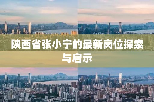 陜西省張小寧的最新崗位探索與啟示