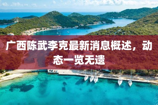 廣西陳武李克最新消息概述，動(dòng)態(tài)一覽無遺