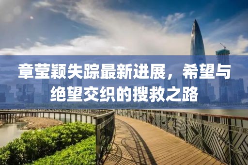 章瑩穎失蹤最新進(jìn)展，希望與絕望交織的搜救之路