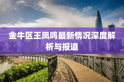 金牛區(qū)王鳳鳴最新情況深度解析與報(bào)道