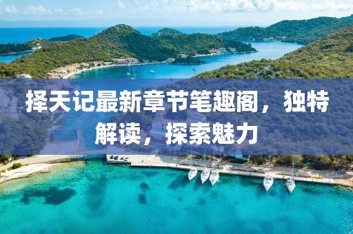 擇天記最新章節(jié)筆趣閣，獨(dú)特解讀，探索魅力