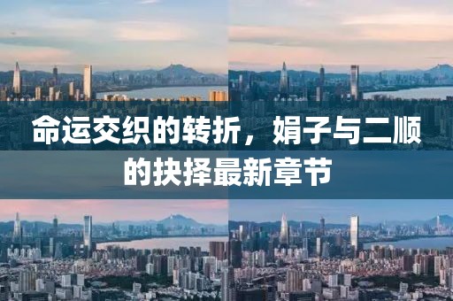 命運(yùn)交織的轉(zhuǎn)折，娟子與二順的抉擇最新章節(jié)